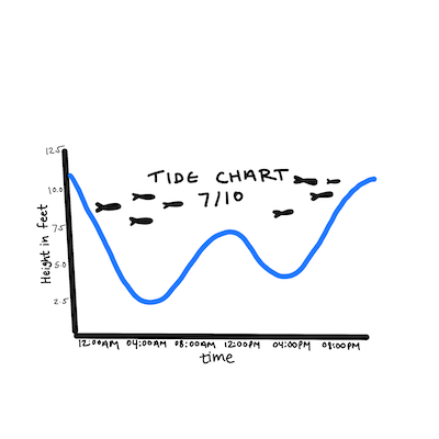 Kinematics - Tides & Indigenous Fishing Technologies